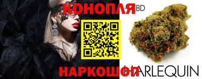 стаф Можайск